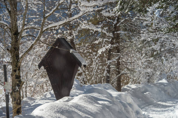 istock winter in Trentino 1211821765