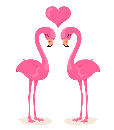 Lovers of flamingos with a heart. Vector illustration in cartoon flat style. White background.