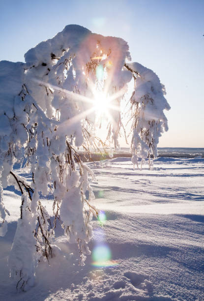 istock Lapland Finland in winter 1211822092