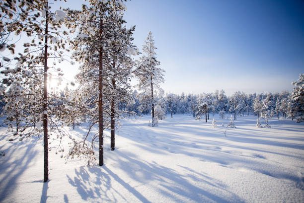 istock Lapland Finland in winter 1211822147