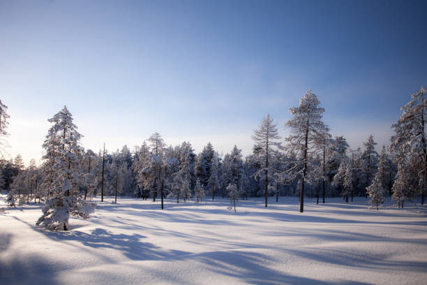 istock Lapland Finland in winter 1211822220