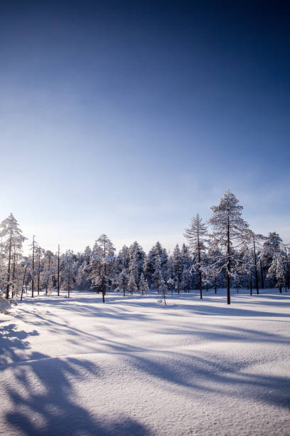istock Lapland Finland in winter 1211822248