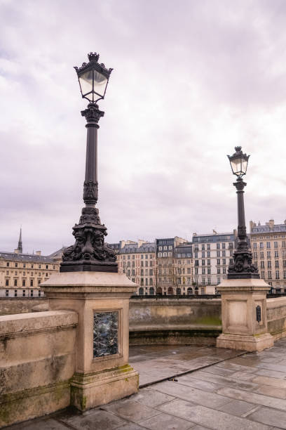 istock Paris, the Pont-Neuf 1211824679
