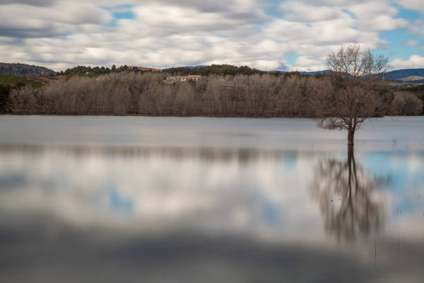 istock Landscape of tree in calm lake water with white clouds sky reflected 1211826703