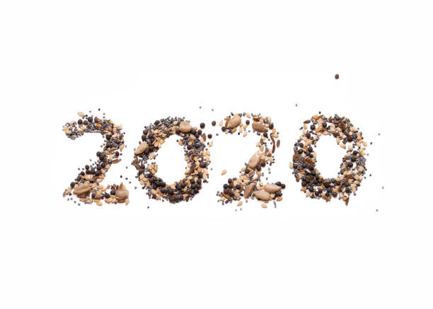 istock New year 2020 seeds 1211828473