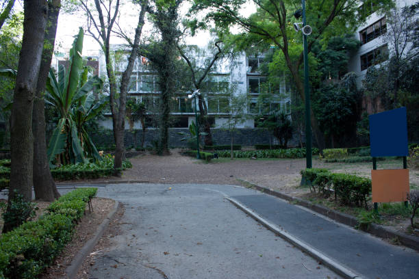 istock Sunken park in Mexico City between trees, stones and thickets 1211835406
