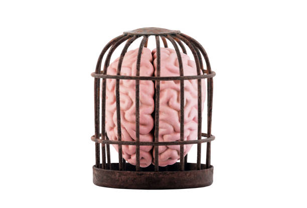 istock Human brain trapped in old rusty cage isolated on white. Free your mind concept. 1211835548