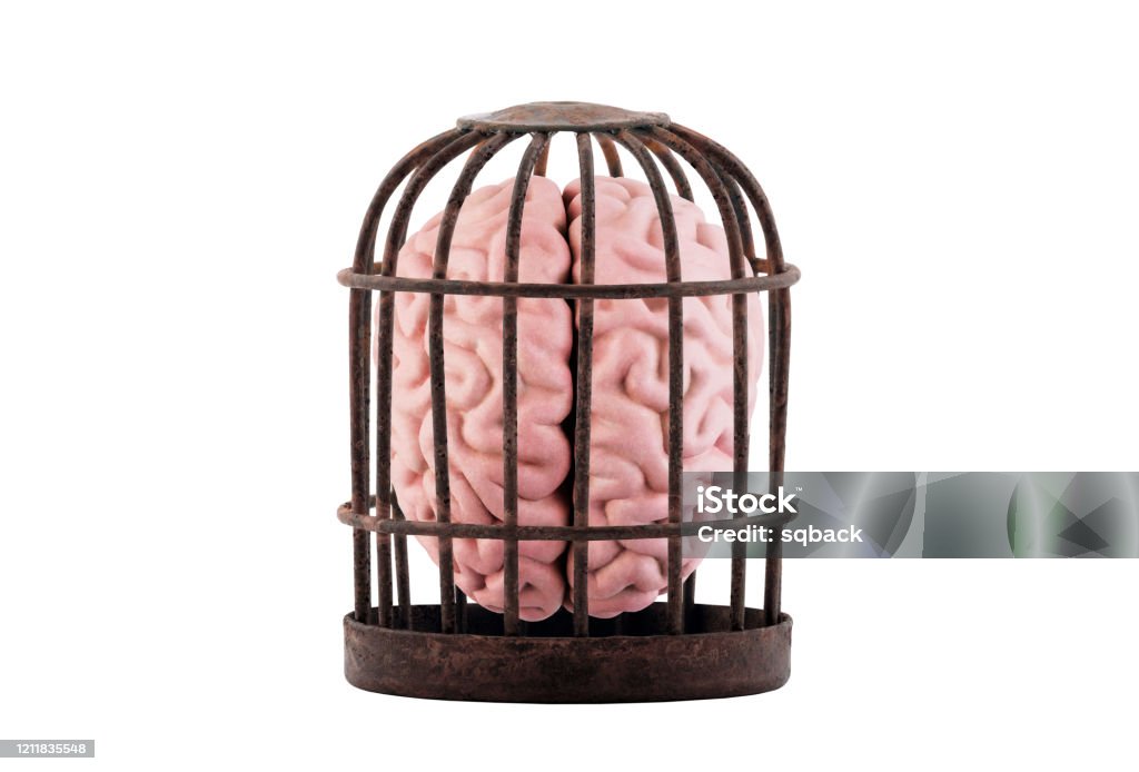 Human brain trapped in old rusty cage isolated on white. Free your mind concept. Slavery Stock Photo