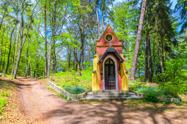Ecce Homo chapel in Slavkov forest, beech trees with green leaves on branches in  thick dense foliage wood near Karlovy Vary (Carlsbad) town, West Bohemia, Czech Republic