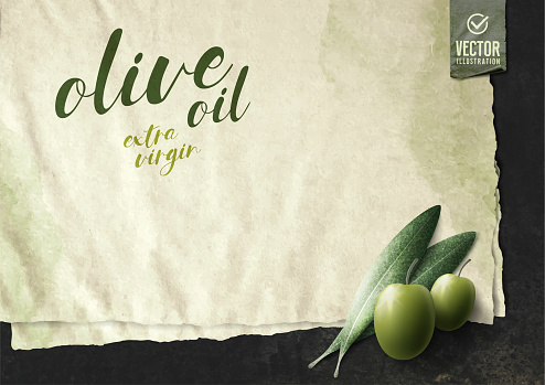 Vector realistic illustration. Olive leaves and paper on black stone.