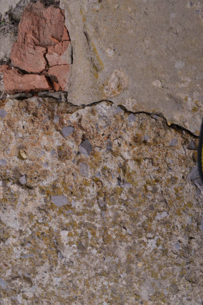 Old concrete block with moss texture for designers