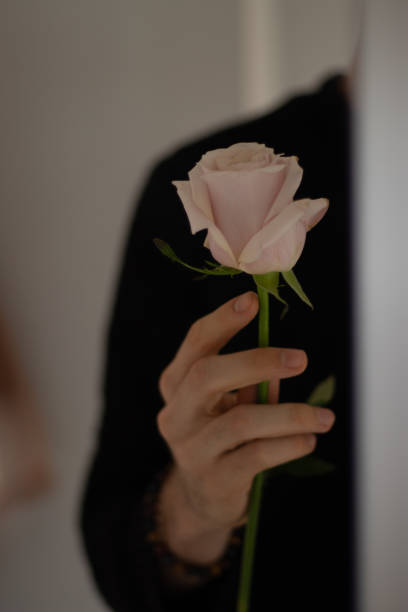 istock Hand take a rose pink white black shirt 1211840900