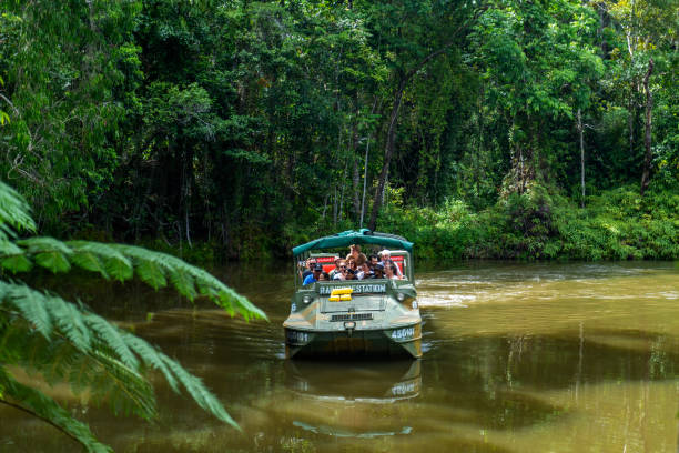 Amphibious vehicle DUKW drive in Kuranda jungle, Queensland, Australia Tourists are riding the amphibious vehicle DUKW to visit the Kuranda rainforest, Queensland, Australia. amphibious vehicle stock pictures, royalty-free photos & images