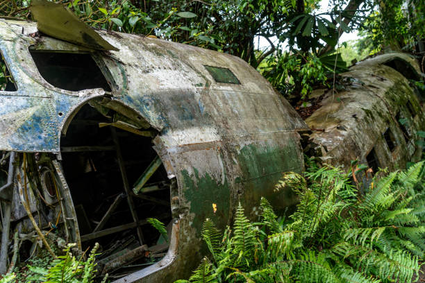 istock Airplane wreck in jungle, Kuranda, Australia 1211847196
