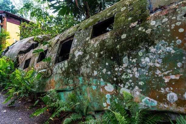 istock Airplane wreck in jungle, Kuranda, Australia 1211847344