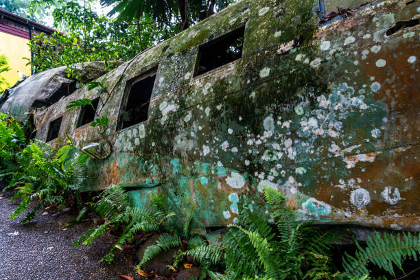 istock Airplane wreck in jungle, Kuranda, Australia 1211847507