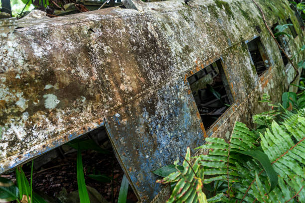 istock Airplane wreck in jungle, Kuranda, Australia 1211847564