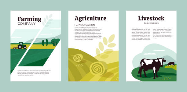 ilustrações de stock, clip art, desenhos animados e ícones de design template of agriculture, farming and livestock - agricultural fair illustrations