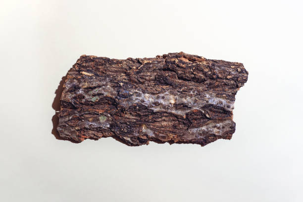 istock A plank made of tree bark. With a tight shadow on a light background. Concept 1211852751