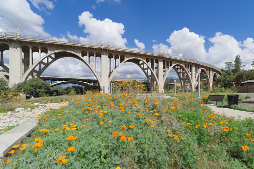 The Reginald Desiderio Park in Pasadena and the Colorado Street bridge over the Arroyo Seco. Image showing seasonal golden poppies in the foreground and puffy white clouds in the background.