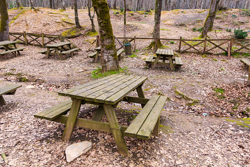 Wooden picnic table and bench in garden at springtime