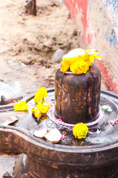 holy sacred cultural traditional religious india asian shivalinga for worship of hindu idol god lord shiva with yellow flowers spread all across - shivalinga imagens e fotografias de stock