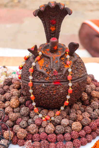 estátua de guirlandas e cobra montada em shivalinga feita de sagrado sagrado sagrado rudraksha para devotos do senhor hindu deus ídolo shiva em pooja adoração puja - shivalinga - fotografias e filmes do acervo
