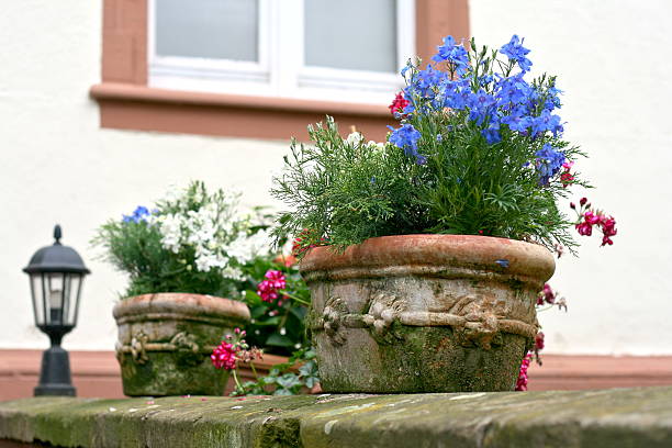 flowerpot sulla parete - blumenerde foto e immagini stock