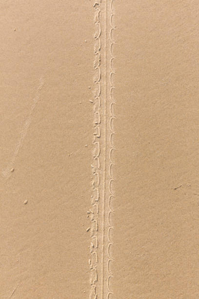 ire dans le sable sur la plage. tire trace moto de vélo de voiture sur une dune de sable par vélo de moto. - 11242 photos et images de collection