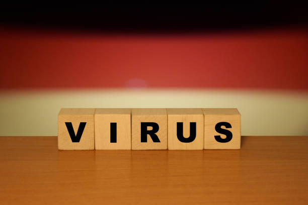 istock Virus message inscription on a wooden desk on cube blocks with a Germany flag background. Coronavirus concept.