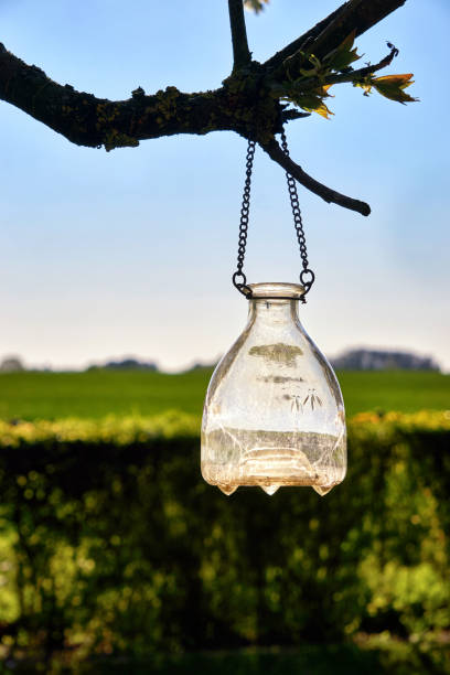 istock Glass vase hangs on chains outside in an old tree. 1211860331