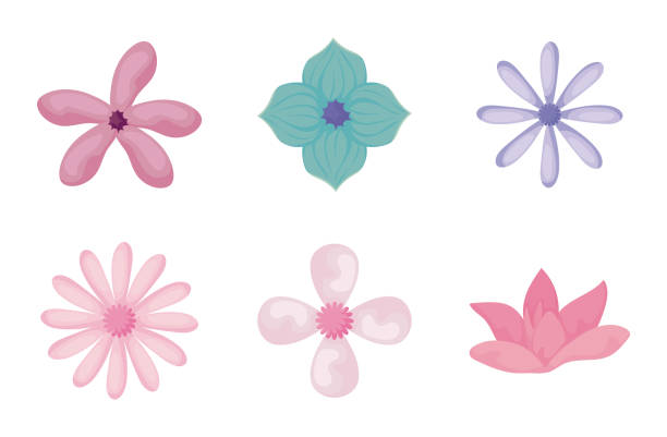 istock beautiful flowers icon set, colorful design 1211864173