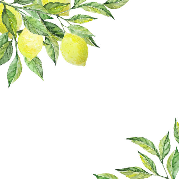 istock Frame with lemon branch and leaves. Watercolor illustration. Ideal for invitation, congratulations, messages, photos, card 1211867890