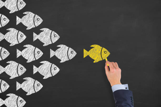 istock Leadership Concepts with Fishes on Chalkboard Background 1211869319