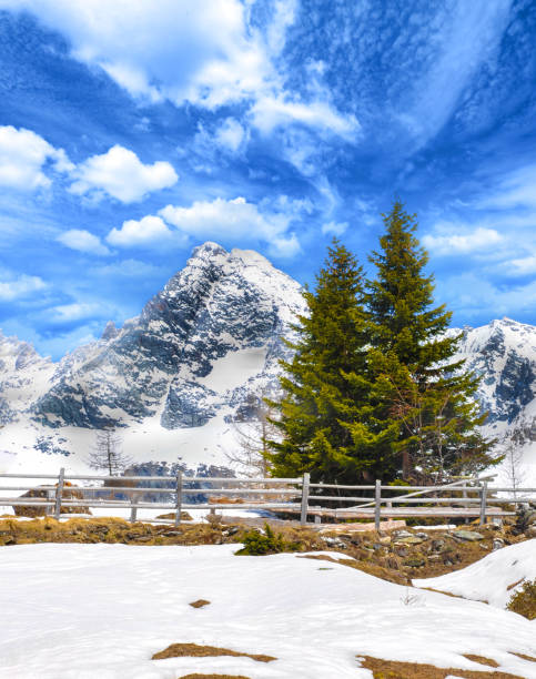 Winter landscape with a fence and a mountain top in the background
