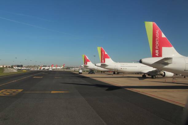planes parked in a row at the lisbon airport - tap airplane imagens e fotografias de stock