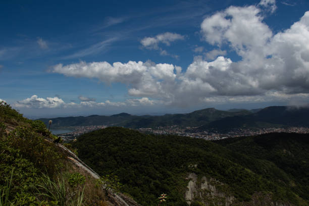 istock Aerial view from green area 1211873542