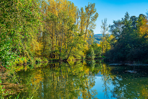 a picture of an autumn landscape on the shore of the Nisava river surrounded by forest in Serbia