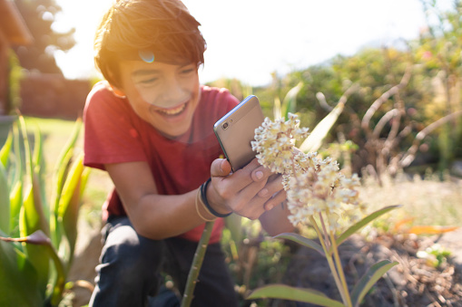 Latinx pre-adolescent child cheerfully photographing plants in his garden with a smartphone
