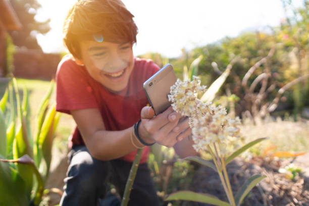 latinx pre-adolescent child cheerfully photographing plants in his garden with smartphone - nature photographer imagens e fotografias de stock