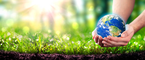 istock Hands Holding Planet Earth In Lush Green Environment 1211879310