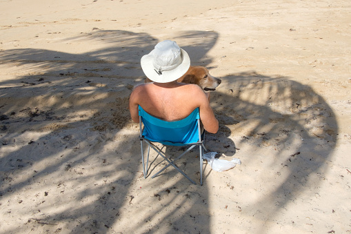 San Juan, Puerto Rico - March 2, 2017: A man sits in a beach chair with his dog under the shadow of a palm tree in San Juan’s Ocean Park Beach.