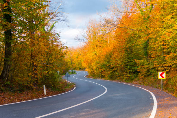 Scenic Winding Mountain Road Through a Forest in Autumn