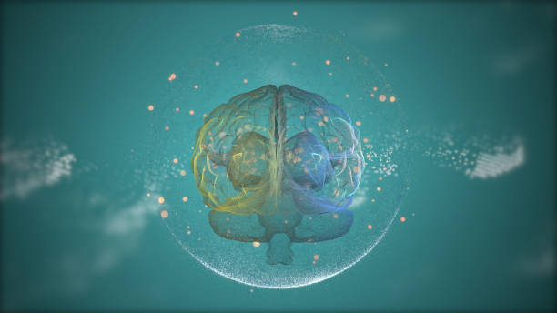 istock Intellectual property concept. 3d render animated brain among golden bokeh particles inside protection sphere over green background. 1211882615