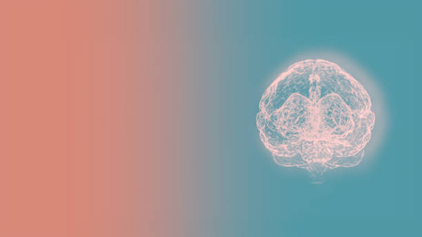 istock 3d render computed medical tomography MRI scan of human brain over light green-pink background. 1211882826