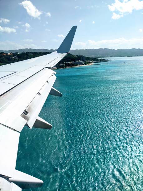 パラダイスに着陸する飛行機 - ジャマイカ 写真 ストックフォトと画像