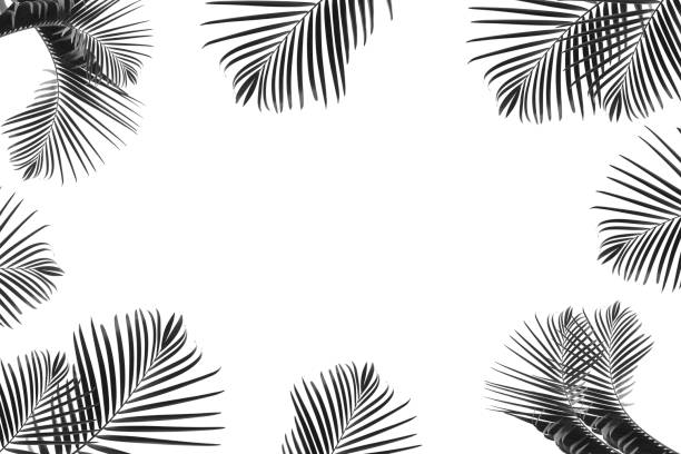 istock green leaves for background and wallpaper 1211886541