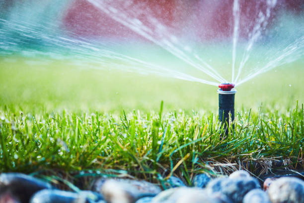 istock Irrigation. Watering lawn in summer from sprinkler system 1211891853