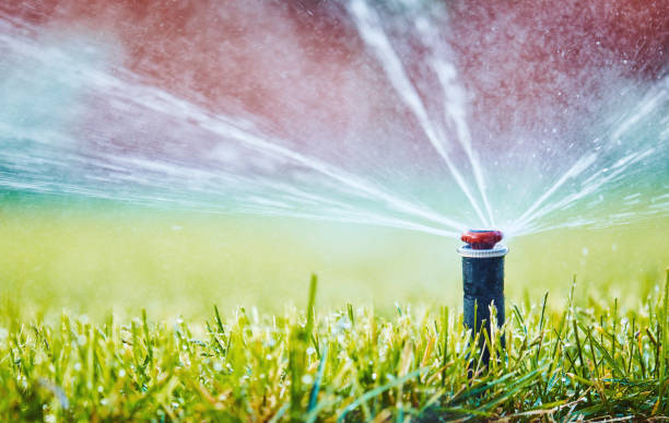 istock Irrigation. Watering lawn in summer from sprinkler system 1211891854