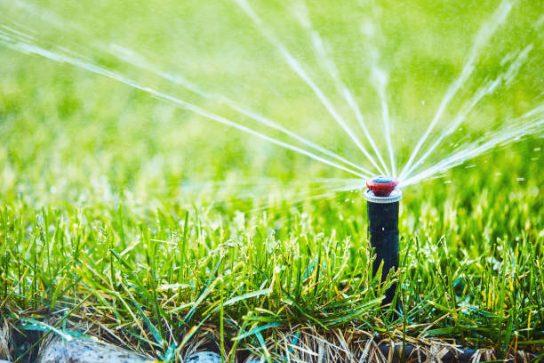 istock Irrigation. Watering lawn in summer from sprinkler system 1211891855